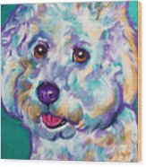 Bichon Frise - Ruben Wood Print