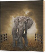 Big Entrance Elephant Art Wood Print