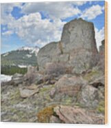 Big Horn Pass Rock Croppings Wood Print