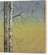 Birch In A Golden Field Wood Print