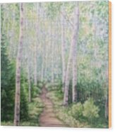 Birch Path Wood Print