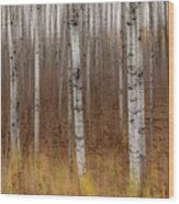 Birch Trees Abstract #2 Wood Print