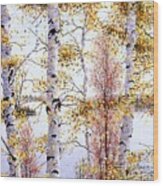 Birch-trees At Lake Of Bays Wood Print