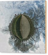Bird Eye View In Chicago Wood Print