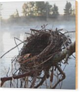 Bird Nest And Mississippi River Fog Wood Print