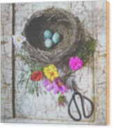 Bird Nest With Blue Bird Eggs Beauty Wood Print