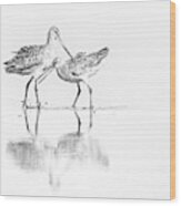 Bird Pair Wood Print