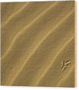 Bird Tracks On Sand Dune Wood Print