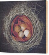 Bird's Nest With Eggs And Ribbon Wood Print