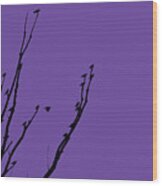 Birds Silhouette Purple Wood Print