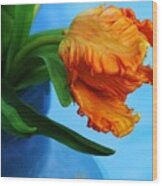 Birthing A Parrot Tulip Wood Print