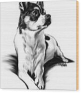Black And White Chihuahua By Spano Wood Print