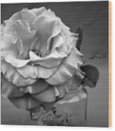 Black And White Rose Antique Mason Jar Wood Print