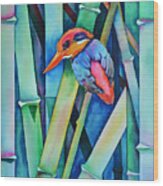 Black-backed Kingfisher On Bamboo Wood Print