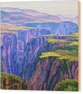 Black Canyon Colorado Wood Print