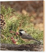 Black-capped Chickadee In Winter Wood Print