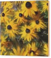 Black Eyed Susans Wood Print