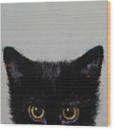 Black Kitten Wood Print