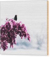 Blackbird In The Rain Wood Print