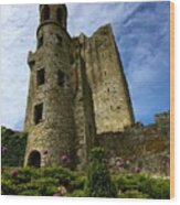 Blarney Castle Wood Print