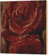 Blood Rose Number 2 Wood Print
