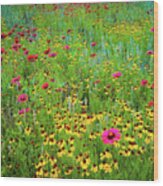 Blooming Wildflowers Wood Print