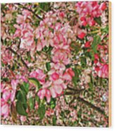 Blossoms Wood Print