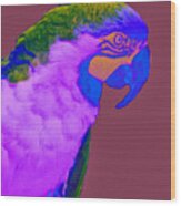 Blue And Gold Macaw Sabattier Wood Print