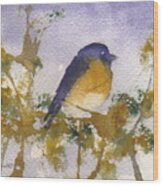 Blue Bird In Waiting Wood Print