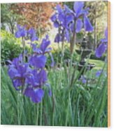 Blue Blue Iris Wood Print