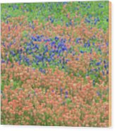 Blue Bonnets And Indian Paintbrush-texas Wildflowers Wood Print