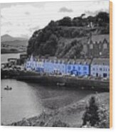 Blue Cottages At Portree Harbour 5 Wood Print