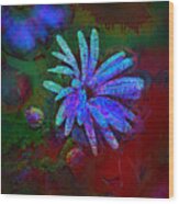 Blue Daisy Wood Print