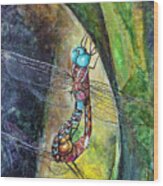 Blue-eyed Darner Mating Wheel Wood Print