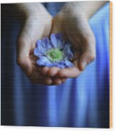 Blue Flower In Little Girl's Hands Wood Print
