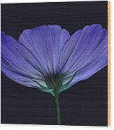 Blue Flower Wood Print