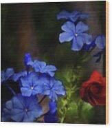 Blue Flowers Growing Up The Apple Tree Wood Print