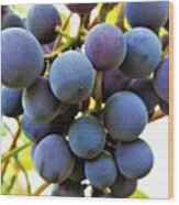 Blue Grapes Wood Print