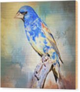 Blue Grosbeak Wood Print