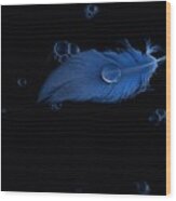 Blue Heron Feather Wood Print