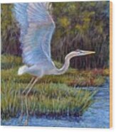 Blue Heron In Flight Wood Print