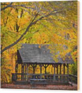 Blue Heron Park In The Fall 2 Wood Print