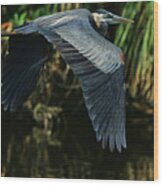 Blue Heron Series The Pond Wood Print