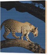 Blue Hour Leopard Wood Print