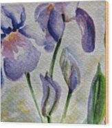 Blue Iris Wood Print