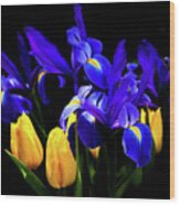 Blue Iris Waltz By Karen Wiles Wood Print