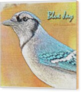 Blue Jay Wood Print