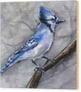 Blue Jay Watercolor Wood Print