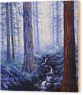 Blue Misty Morning In The Redwoods Wood Print