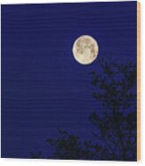 Blue Moon Wood Print
